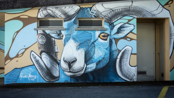 Valais: un musée d'art urbain en plein air